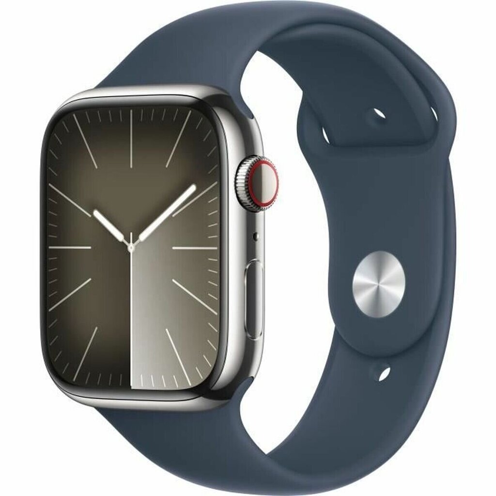 Apple Series 9 45 mm blue silver S7193123 cena un informācija | Viedpulksteņi (smartwatch) | 220.lv