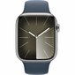 Apple Series 9 45 mm blue silver S7193123 cena un informācija | Viedpulksteņi (smartwatch) | 220.lv