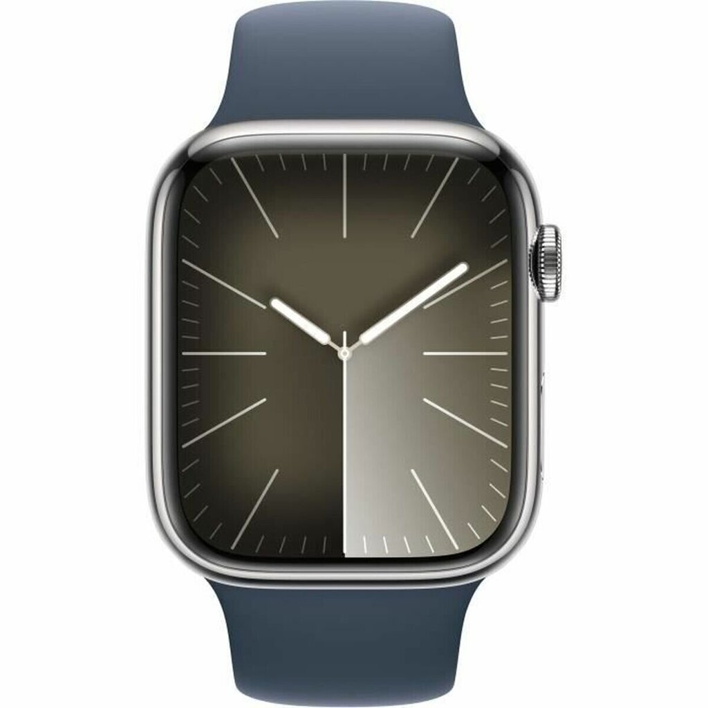 Apple Series 9 45 mm blue silver S7193124 cena un informācija | Viedpulksteņi (smartwatch) | 220.lv