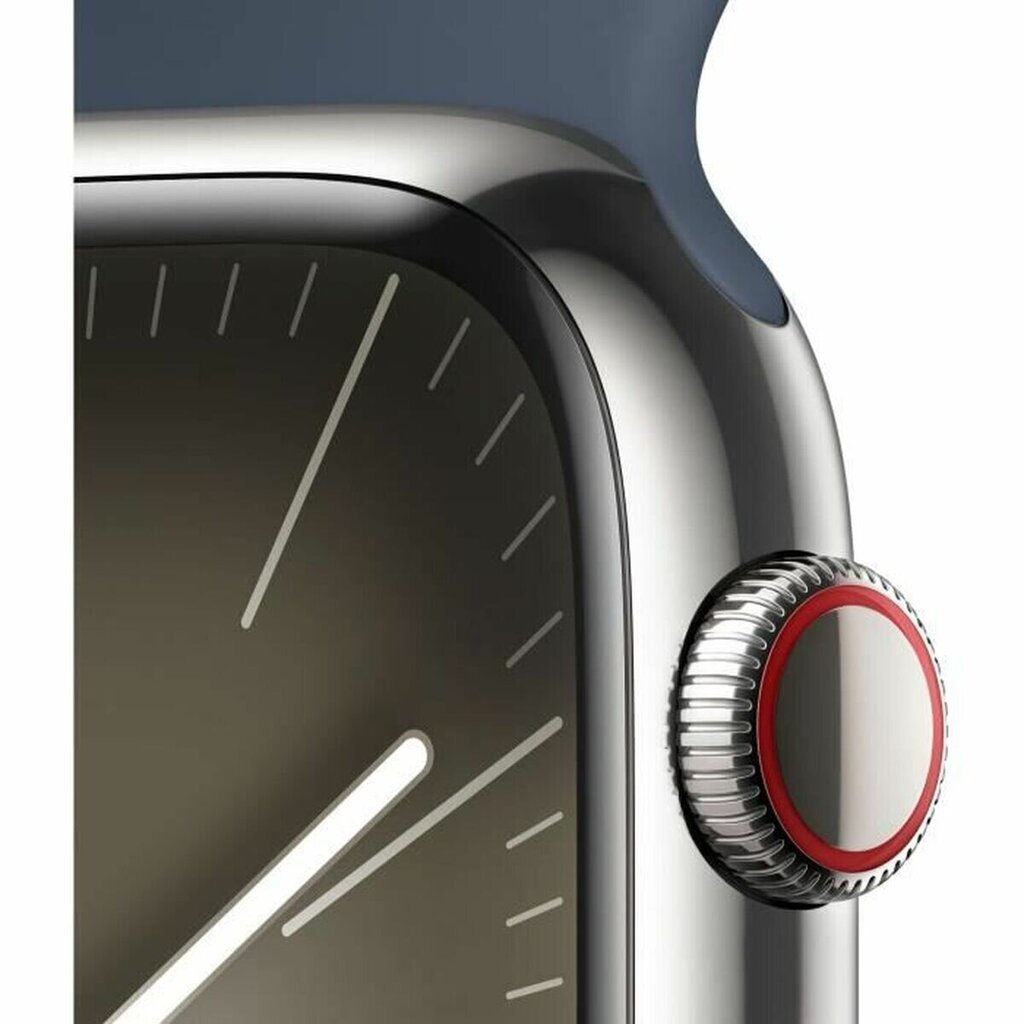 Apple Series 9 45 mm blue silver S7193124 cena un informācija | Viedpulksteņi (smartwatch) | 220.lv