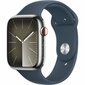 Apple Series 9 45 mm blue silver S7193124 cena un informācija | Viedpulksteņi (smartwatch) | 220.lv