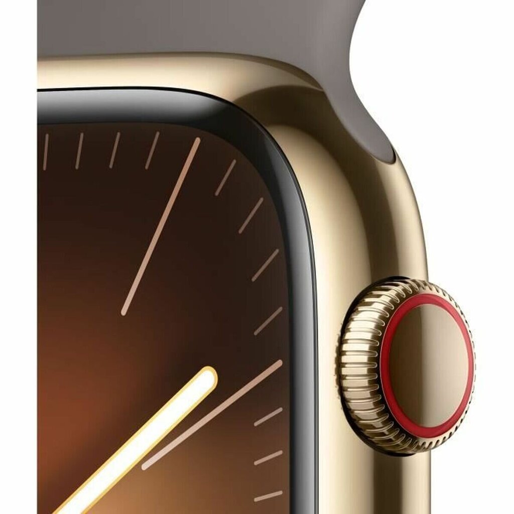 Apple Watch Series 9 45mm Gold Stainless Steel/Clay Sport Band cena un informācija | Viedpulksteņi (smartwatch) | 220.lv