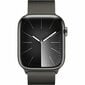 Apple Watch Series 9 45mm Graphite Stainless Steel/Graphite Milanese Loop cena un informācija | Viedpulksteņi (smartwatch) | 220.lv