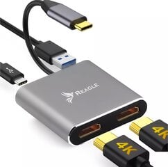 Reagle RY7C1 cena un informācija | Adapteri un USB centrmezgli | 220.lv