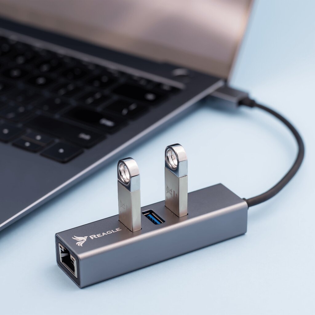 Reagle Tīkla adapteris Hub USB-A 3.1 GIGABIT LAN RJ45 1GB цена и информация | Adapteri un USB centrmezgli | 220.lv