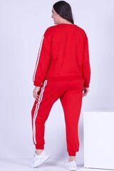 Красный спортивный костюм-двойка в полоску A812-R-42 цена и информация | Спортивная одежда для женщин | 220.lv