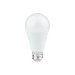 Led spuldze, 15 w, e27 a60, silta krāsa cena un informācija | Spuldzes | 220.lv