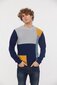 Džemperis vīriešiem M Couro ML W330 NL, dažādu krāsu cena un informācija | Vīriešu džemperi | 220.lv