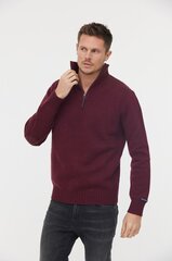 Džemperis vīriešiem M Char ML W'433 VIN, violets cena un informācija | Vīriešu džemperi | 220.lv