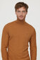 Džemperis vīriešiem M Cerio ML W204 NL C, brūns cena un informācija | Vīriešu džemperi | 220.lv