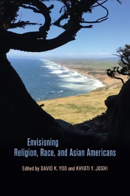 Envisioning Religion, Race, and Asian Americans цена и информация | Sociālo zinātņu grāmatas | 220.lv