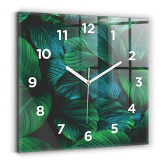 Sienas pulkstenis Dabas Lapas, 30x30 cm cena un informācija | Pulksteņi | 220.lv