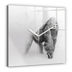 Sienas pulkstenis Dzīvnieku Mākslas Kolekcija, 30x30 cm cena un informācija | Pulksteņi | 220.lv