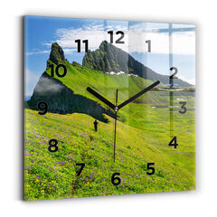 Sienas pulkstenis Hornstrandir Salas Rezervāts, 30x30 cm cena un informācija | Pulksteņi | 220.lv