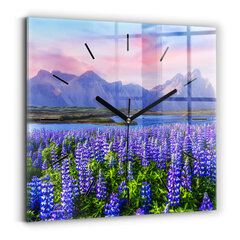 Sienas pulkstenis Islandes Kalnu Skats, 30x30 cm cena un informācija | Pulksteņi | 220.lv