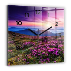 Sienas pulkstenis Saullēkts Un Ziedi, 30x30 cm cena un informācija | Pulksteņi | 220.lv