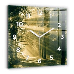 Sienas pulkstenis Saules Staru Mežs, 30x30 cm cena un informācija | Pulksteņi | 220.lv