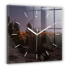 Sienas pulkstenis Rocky Path Yosemite, 30x30 cm цена и информация | Часы | 220.lv