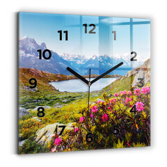 Sienas pulkstenis Mont Blanc Chamonix Ledājs, 30x30 cm cena un informācija | Pulksteņi | 220.lv