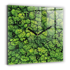 Sienas pulkstenis Mežs No Augšas, 30x30 cm cena un informācija | Pulksteņi | 220.lv