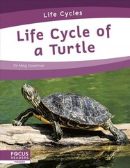 Life Cycles: Life Cycle of a Turtle cena un informācija | Grāmatas pusaudžiem un jauniešiem | 220.lv