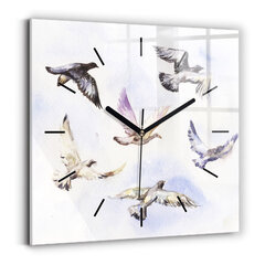 Sienas pulkstenis Lidojoši Putni, 30x30 cm cena un informācija | Pulksteņi | 220.lv