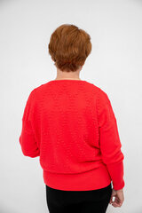 Нежный классический зимний красный свитер CH00080-1-4 цена и информация | Женские кофты | 220.lv