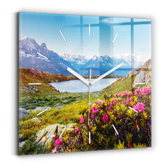 Sienas pulkstenis Mont Blanc Chamonix Ledājs, 30x30 cm cena un informācija | Pulksteņi | 220.lv