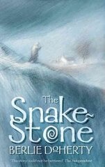 Snake-stone цена и информация | Книги для подростков  | 220.lv