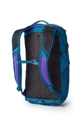 Походный рюкзак Gregory Nano, 24 л, синий цена и информация | Туристические, походные рюкзаки | 220.lv