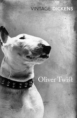 Oliver Twist цена и информация | Книги для подростков и молодежи | 220.lv