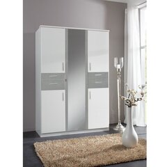 Шкаф Aatrium Koblenz, серый/белый цена и информация | Шкафы | 220.lv
