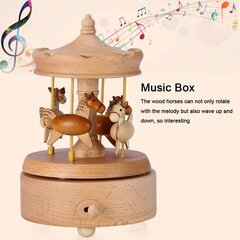 Деревянная музыкальная шкатулка Carousel цена и информация | Развивающие игрушки | 220.lv