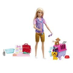 Lelle - veterinārārsts ar piederumiem Barbie cena un informācija | Rotaļlietas meitenēm | 220.lv