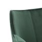 Krēsls Intesi Lord, zaļš cena un informācija | Virtuves un ēdamistabas krēsli | 220.lv