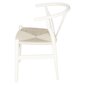 Krēsls D2.Design Wicker Color, balts cena un informācija | Virtuves un ēdamistabas krēsli | 220.lv