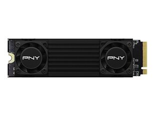 PNY CS3150 (M280CS3150HS-2TB-RB) цена и информация | Pny Компьютерная техника | 220.lv