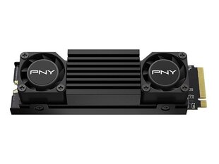 PNY CS3150 (M280CS3150HS-2TB-RB) цена и информация | Внутренние жёсткие диски (HDD, SSD, Hybrid) | 220.lv