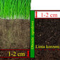 Dārza žogs Palisada 10 cm x 10 m cena un informācija | Žogi un piederumi | 220.lv