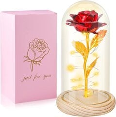 Valentīna dienas rozes dāvana viņai Qunpon cena un informācija | Svētku dekorācijas | 220.lv