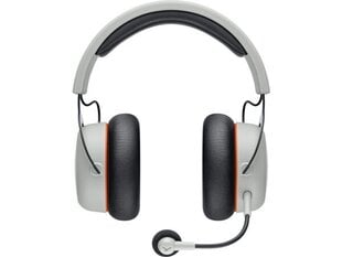 Beyerdynamic MMX 200 Grey цена и информация | Наушники | 220.lv