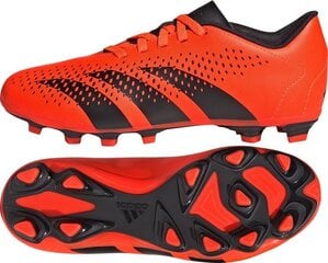Futbola apavi Adidas Predator Accuracy.4 FG Jr HQ0951, oranži cena un informācija | Futbola apavi | 220.lv