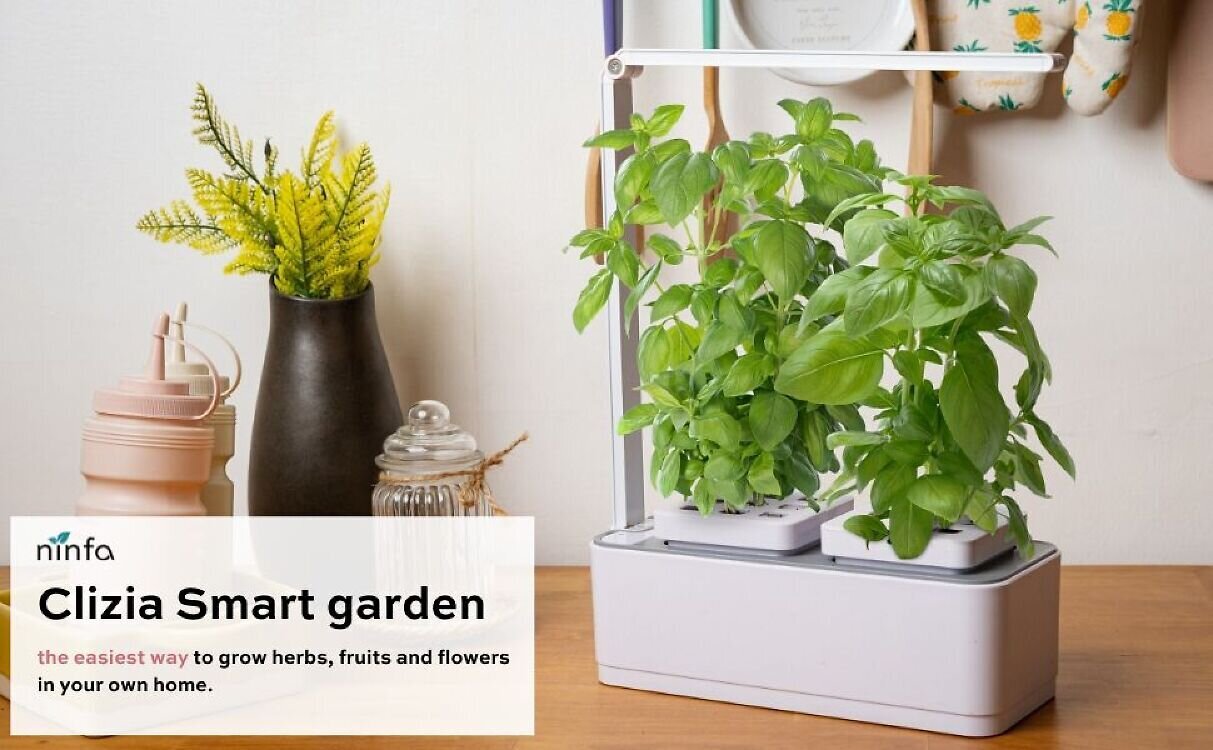 Viedais puķu pods Clizia Smart Garden cena un informācija | Diedzēšanas trauki, augu lampas | 220.lv