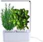 Viedais puķu pods Clizia Smart Garden цена и информация | Diedzēšanas trauki, augu lampas | 220.lv