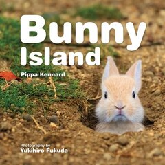 Bunny Island cena un informācija | Grāmatas pusaudžiem un jauniešiem | 220.lv