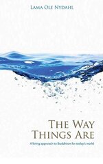 Way Things Are, The A Living Approach to Buddhism cena un informācija | Garīgā literatūra | 220.lv