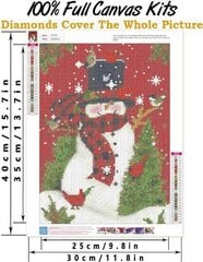 Алмазная мозаика Avoin Снеговик, 40 x 30 см цена и информация | Алмазная мозаика | 220.lv