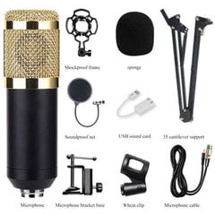 Профессиональный студийный микрофон цена и информация | Микрофоны | 220.lv