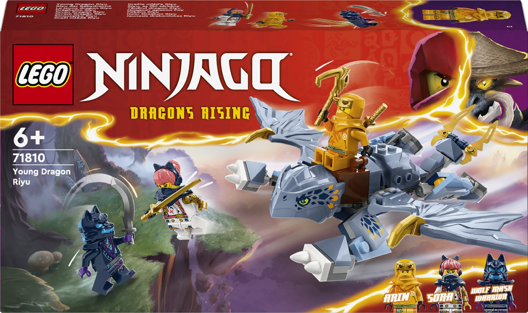 71810 LEGO® Ninjago Молодой дракон Riyu цена | 220.lv