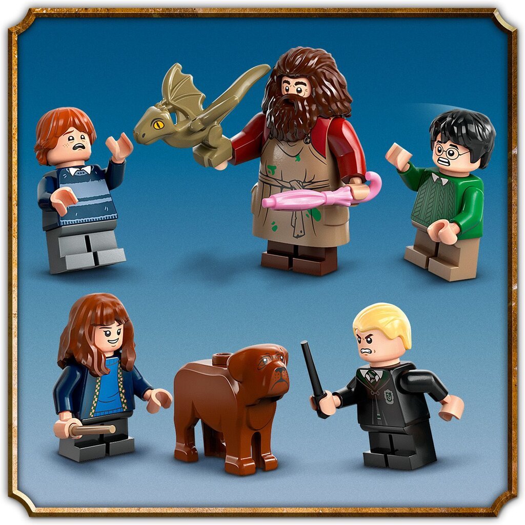 76428 LEGO® Harry Potter Hagrida būda: Negaidītais apciemojums цена и информация | Konstruktori | 220.lv